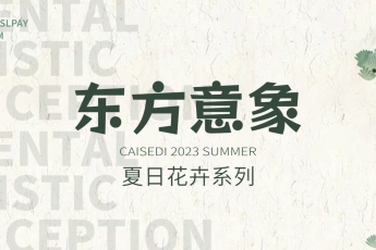 CAISEDI | 一起進入花花世界